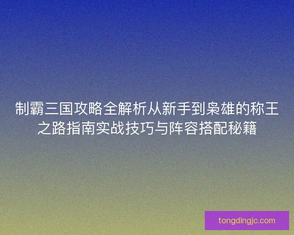 制霸三国攻略全解析从新手到枭雄的称王之路指南实战技巧与阵容搭配秘籍