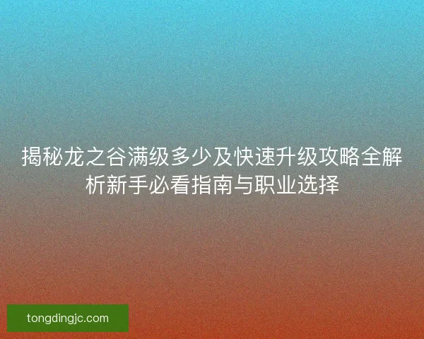 揭秘龙之谷满级多少及快速升级攻略全解析新手必看指南与职业选择