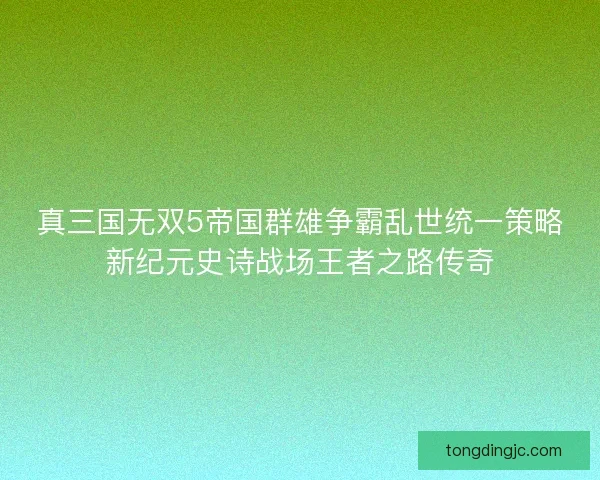 真三国无双5帝国群雄争霸乱世统一策略新纪元史诗战场王者之路传奇
