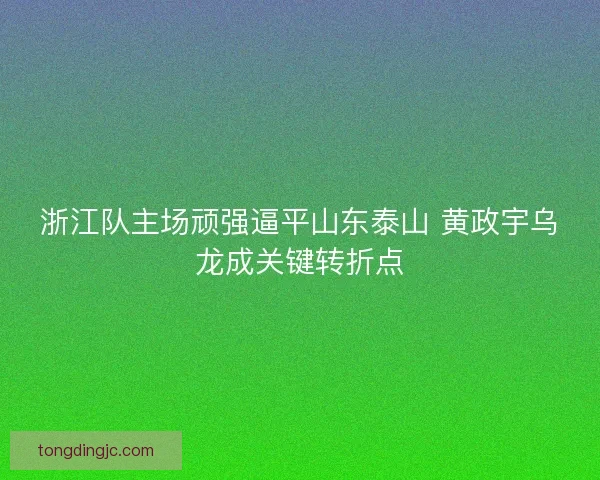 浙江队主场顽强逼平山东泰山 黄政宇乌龙成关键转折点